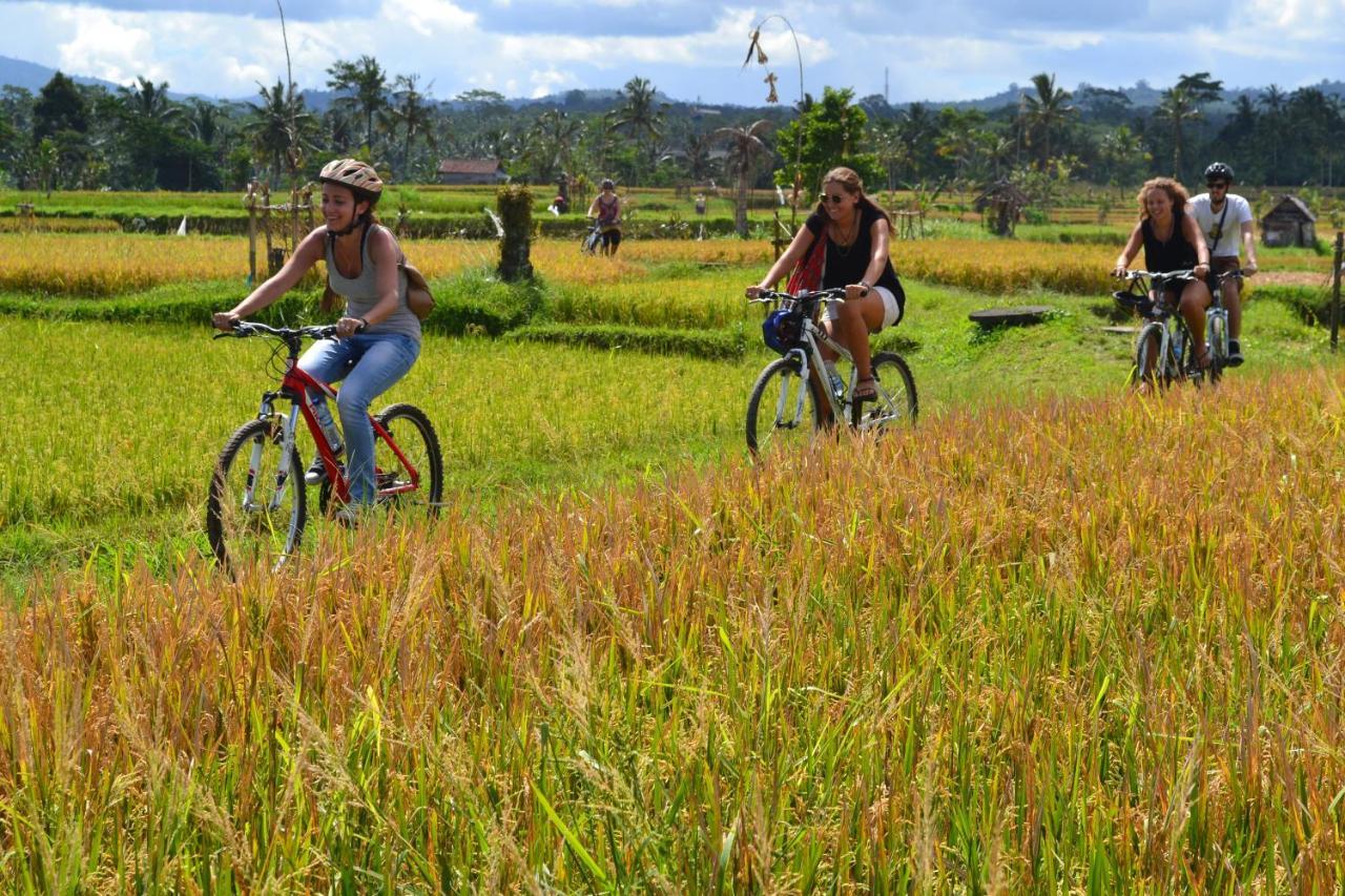 Bali Culture Guesthouse Убуд Екстер'єр фото